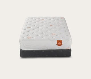 PranaSleep Karma Elite 2 Hybrid Super Cush Mattress Reviews (2026)
