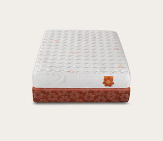 PranaSleep Karma Luxe Plush Mattress Reviews (2026)