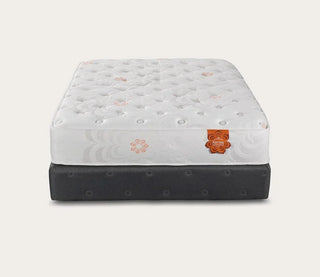 PranaSleep Karma Select 2 Hybrid Plush Mattress Reviews (2026)