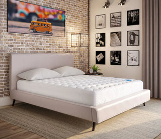 PranaSleep Vinyasa Mattress Reviews (2026)