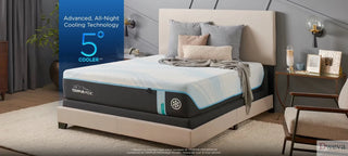 Tempur Mattress Reviews