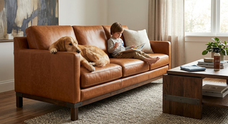 How to Choose a Leather Sofa