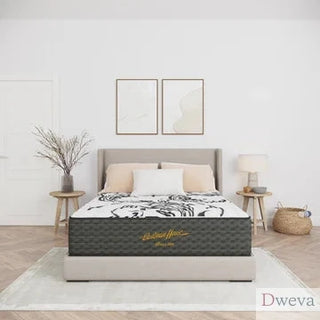 Everything Mattress Review