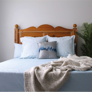 SaniSnooze Mattress Reviews
