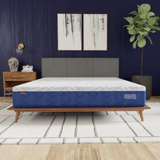 Sapphire Sleep 10-inch Restore Medium Mattress Reviews (2026)