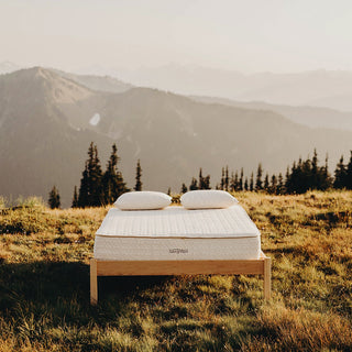 Savvy Rest Serenity Mattress Reviews (2026)