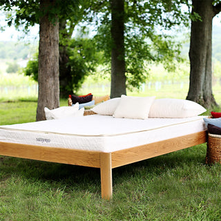 Savvy Rest Tranquility Mattress Reviews (2026)