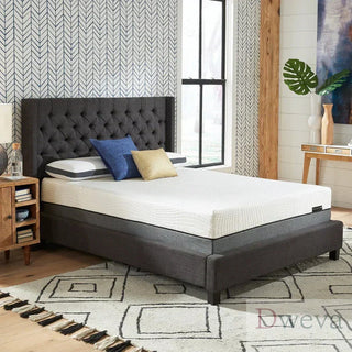 Sleep Science Mattress Reviews (2026)