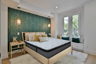 sleeptronic Mattress Reviews