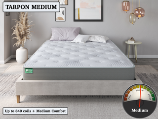 Tampa Mattress Reviews