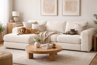 How to Choose a Teddy Sofa?