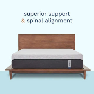 ViscoSoft The Edge Mattress Reviews (2026)