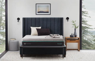 Wellsville Ascend AeroFlex Hybrid Mattress Reviews (2026)