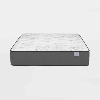 White Dove Mattress Reviews (2026)