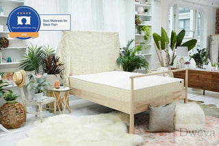 WinkBeds EcoCloud Mattress Reviews (2026)