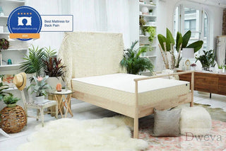 WinkBeds EcoCloud Mattress Reviews (2026)