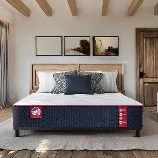 Wolf Mattress 13 Inch Memory Foam Hybrid Mattress Reviews (2026)