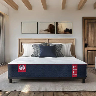 Wolf Mattress 13 Inch Memory Foam Hybrid Mattress Reviews (2026)