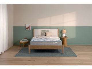 Steinhafels Mattress Reviews