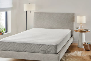 Room and Board Mattress Reviews