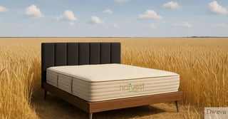 Harvest Mattress Review