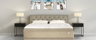 Bemco Mattress Review