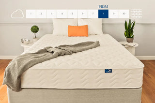 DLX Mattress Reviews
