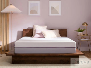 Purple Plus Mattress Reviews (2026)