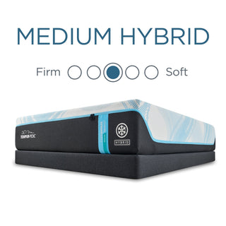 Sleepology Mattress Reviews