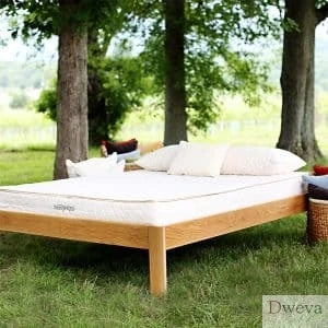 Savvy Mattress Review