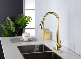 Single Handle Stainless Steel Kitchen Sink Faucet with Pull Down Sprayer Dweva