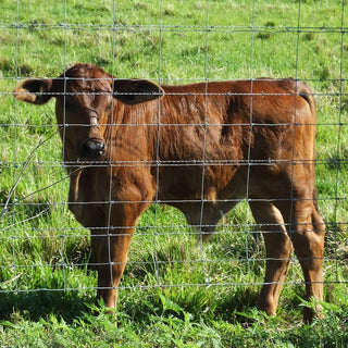 5x164 ft Advanced Weave Farm Enclosures Long-Lasting and Secure Galvanized Farm Fence Dweva