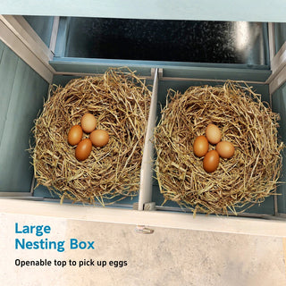 Wooden Chicken Coop with Nesting Box and Free-Range Door, All-Weather Asphalt Roof, Sliding Tray for Easy Cleaning, Large Outdoor Poultry Cage for Chickens, Ducks, and Small Animals Dweva