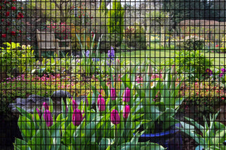 36inch x 50ft Black Vinyl Coated Hardware Cloth 2" X 3" 16Ga Welded Wire Mesh fence, PVC Coated Welded Chicken Wire Fencing, Metal Garden Plant Fencing, for Chicken Coop and Home Improvement Dweva