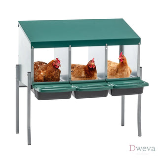 Nesting Boxes for Chickens, 3 Holes Chicken Nesting Boxes with Legs, Chicken Laying Box with Lid Cover, for Outdoor Chicken Coop Farm Yard, Rreen Dweva