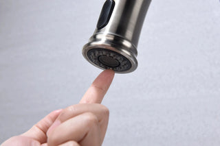 Kitchen Faucet with Pull Down Sprayer Dweva