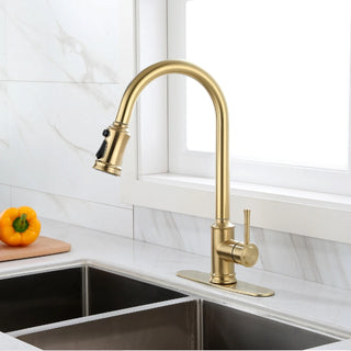 Touch Kitchen Faucet with Pull Down Sprayer Dweva