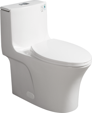 1.1/1.60 GPF Dual-Flush One Piece Toilet, Water-Saving Elongated Comfort Height Floor Mounted, Soft Closing Seat, 1000 Gram Map Flushing Score Toilet, Gloss White 24T02-GW Dweva