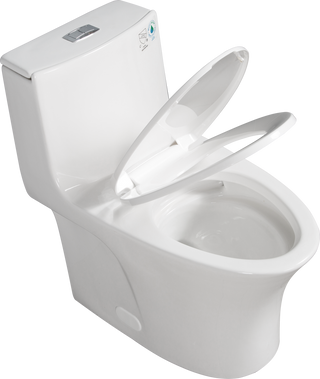 1.1/1.60 GPF Dual-Flush One Piece Toilet, Water-Saving Elongated Comfort Height Floor Mounted, Soft Closing Seat, 1000 Gram Map Flushing Score Toilet, Gloss White 24T02-GW Dweva