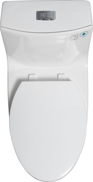 1.1/1.60 GPF Dual-Flush One Piece Toilet, Water-Saving Elongated Comfort Height Floor Mounted, Soft Closing Seat, 1000 Gram Map Flushing Score Toilet, Gloss White 24T02-GW Dweva