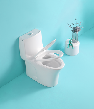 1.1/1.60 GPF Dual-Flush One Piece Toilet, Water-Saving Elongated Comfort Height Floor Mounted, Soft Closing Seat, 1000 Gram Map Flushing Score Toilet, Gloss White 24T02-GW Dweva