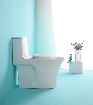 1.1/1.60 GPF Dual-Flush One Piece Toilet, Water-Saving Elongated Comfort Height Floor Mounted, Soft Closing Seat, 1000 Gram Map Flushing Score Toilet, Gloss White 24T02-GW Dweva