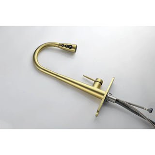 Single Handle Stainless Steel Kitchen Sink Faucet with Pull Down Sprayer Dweva