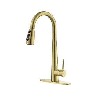 Single Handle Stainless Steel Kitchen Sink Faucet with Pull Down Sprayer Dweva