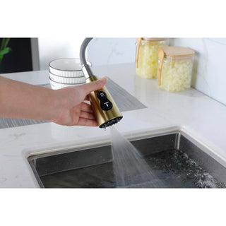 Single Handle Stainless Steel Kitchen Sink Faucet with Pull Down Sprayer Dweva