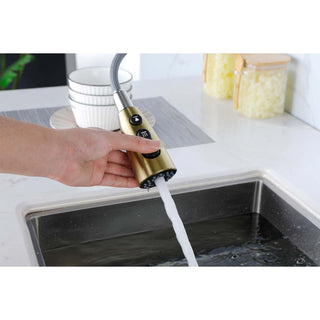 Single Handle Stainless Steel Kitchen Sink Faucet with Pull Down Sprayer Dweva