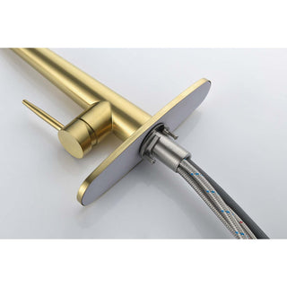 Single Handle Stainless Steel Kitchen Sink Faucet with Pull Down Sprayer Dweva