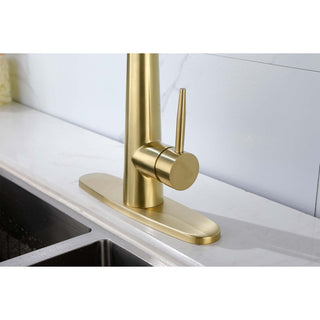 Single Handle Stainless Steel Kitchen Sink Faucet with Pull Down Sprayer Dweva