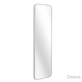 Silver 47 x 14IN Door mirror.(W2203P182160) Dweva