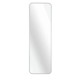 Silver 47 x 14IN Door mirror.(W2203P182160) Dweva